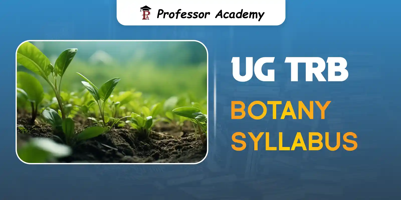 UG TRB Botany Coaching Classes in Tamil Nadu – Professor Academy